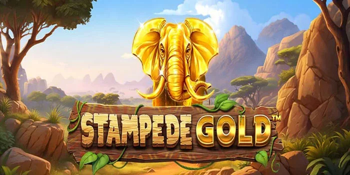 Stampede Gold – Petualangan Seru di Dunia Slot Online